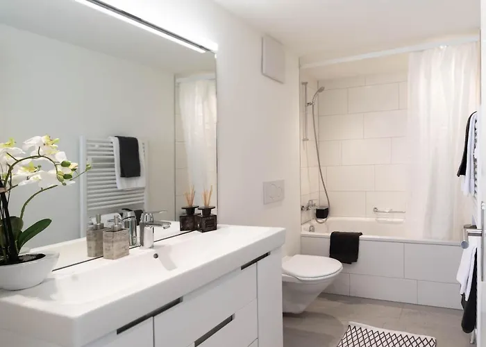 Rotachstrasse 20 In Wiedikon By Aas Service *