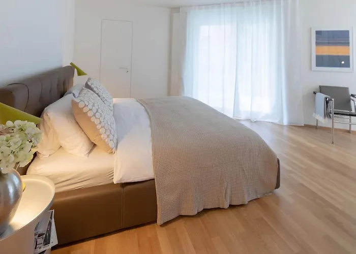 Apartman Rotachstrasse 20 In Wiedikon By Aas Service